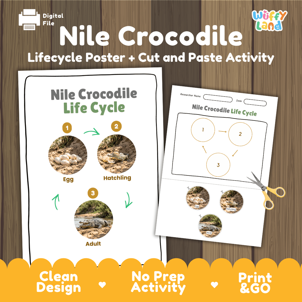 Nile Crocodile Life Cycle Poster and Cut and Paste Activity Worksheet