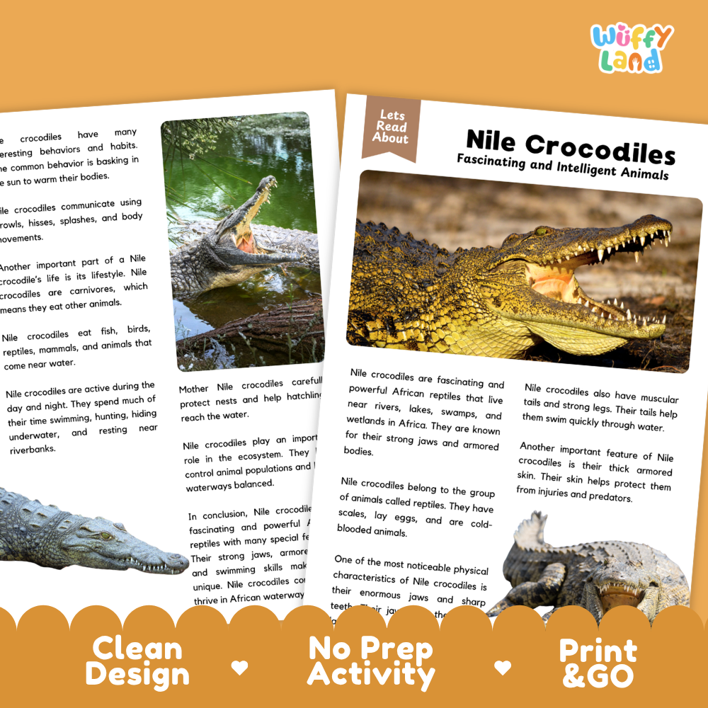 A printed educational activity sheet about Nile crocodiles shown on a light gray background with two promotional badges at the bottom. The sheet has a brown header reading 'Lets Read About' and the title 'Nile Crocodiles Fascinating and Intelligent Animals,' with a large crocodile photo on the right and text on the left.