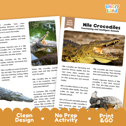 A printed educational activity sheet about Nile crocodiles shown on a light gray background with two promotional badges at the bottom. The sheet has a brown header reading 'Lets Read About' and the title 'Nile Crocodiles Fascinating and Intelligent Animals,' with a large crocodile photo on the right and text on the left.