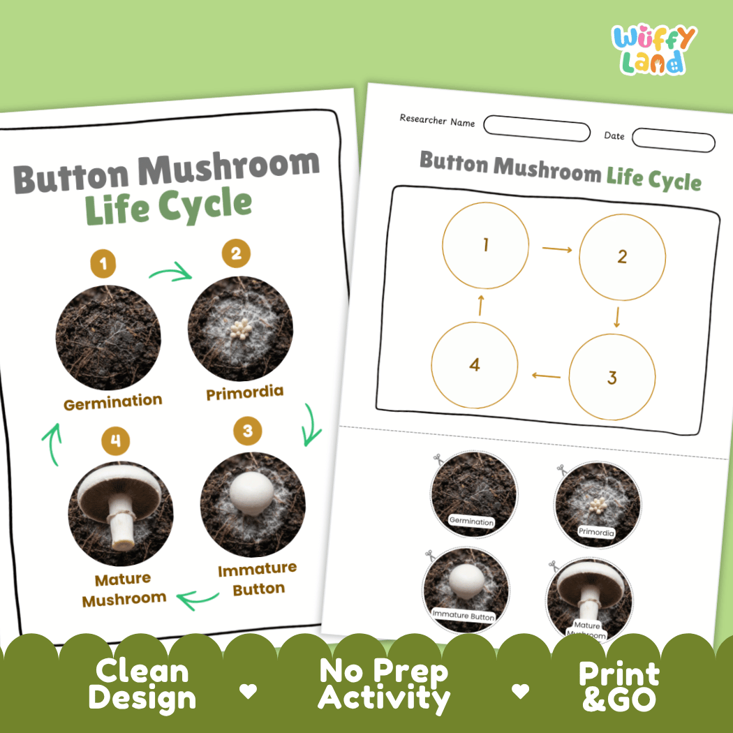 Print and go no-prep button mushroom mycology activity sheets featuring clean minimalist design for classroom and homeschool science