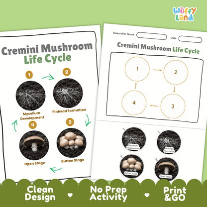 Print and go no-prep cremini mushroom mycology activity sheets featuring clean minimalist design for classroom and homeschool science