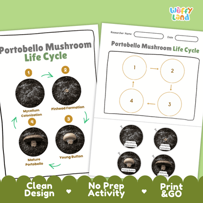Print and go no-prep portobello mushroom mycology activity sheets featuring clean minimalist design for classroom and homeschool science