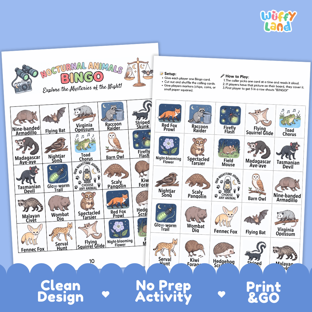 Nocturnal Animals BINGO Games Printable Activity
