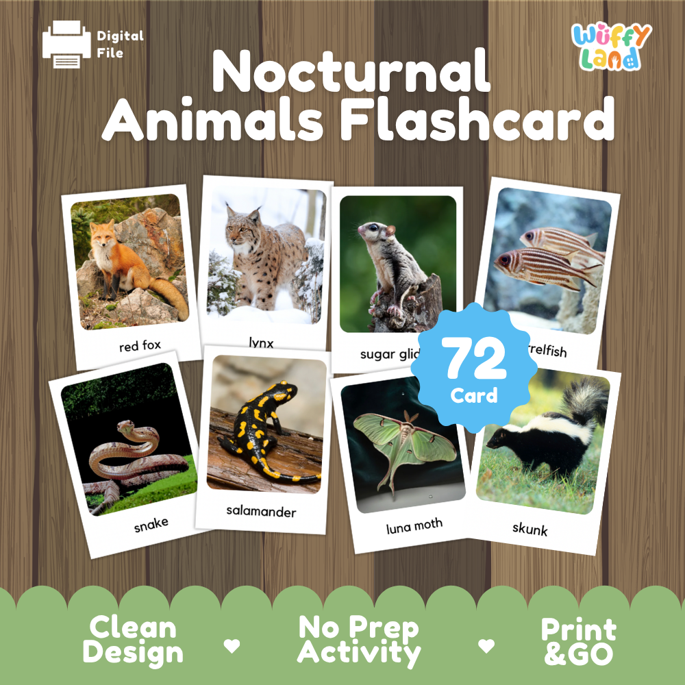 Nocturnal Animals Flashcards Printable Science Cards for Early Elementary