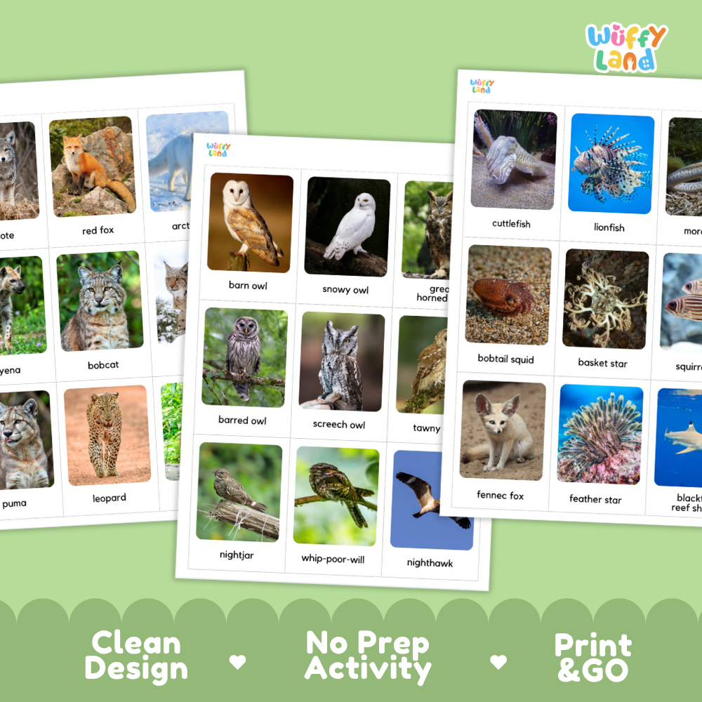 Nocturnal Animals Flashcards Printable Science Cards for Early Elementary