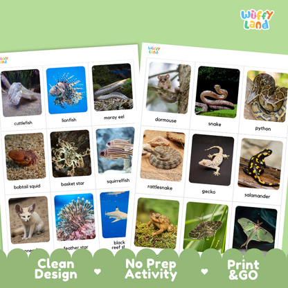 Nocturnal Animals Flashcards Printable Science Cards for Early Elementary