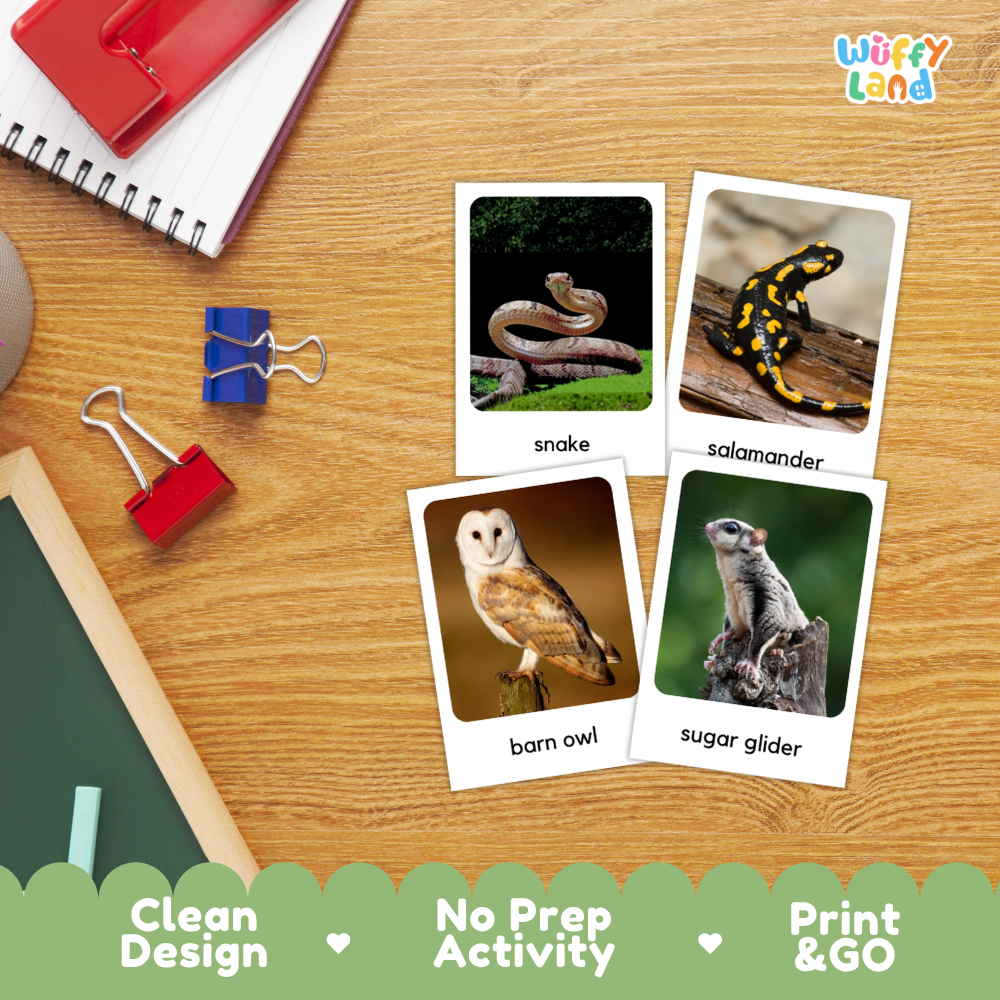Nocturnal Animals Flashcards Printable Science Cards for Early Elementary