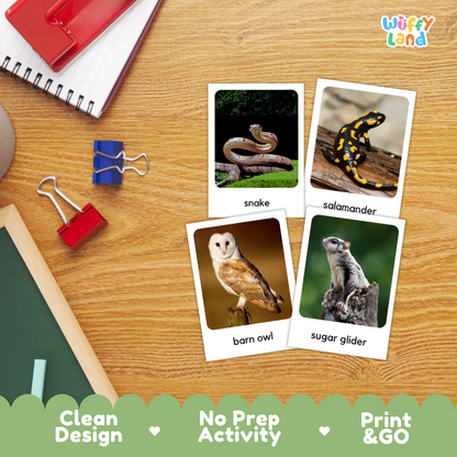 Nocturnal Animals Flashcards Printable Science Cards for Early Elementary