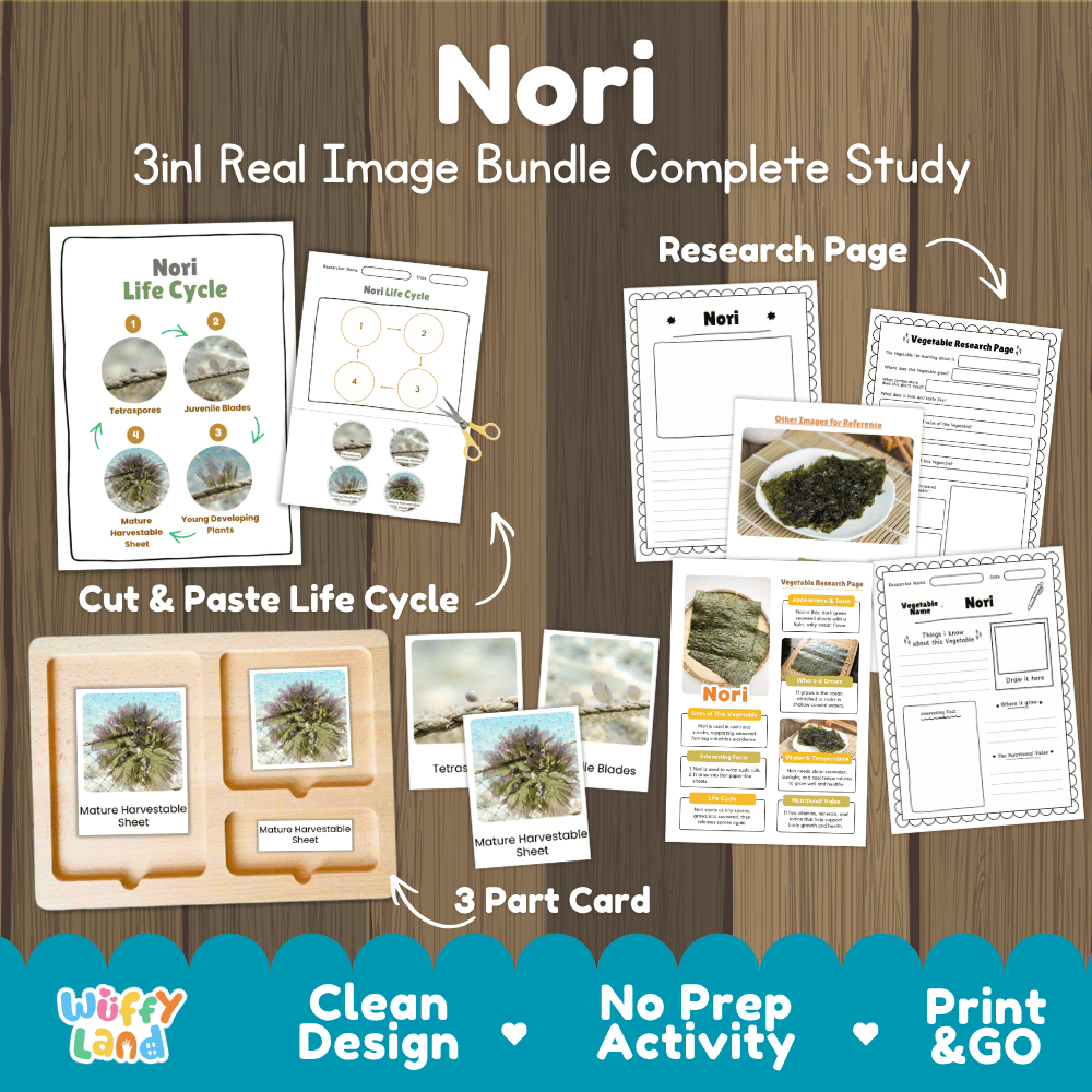 Nori seaweed 3in1 real image bundle complete study printable featuring life cycle cut and paste worksheets, Montessori 3-part cards, and research pages