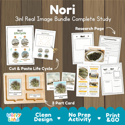 Nori seaweed 3in1 real image bundle complete study printable featuring life cycle cut and paste worksheets, Montessori 3-part cards, and research pages