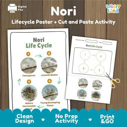 Nori seaweed life cycle educational printable pack cover showing visual reference poster and cut and paste sequencing worksheet with real photography