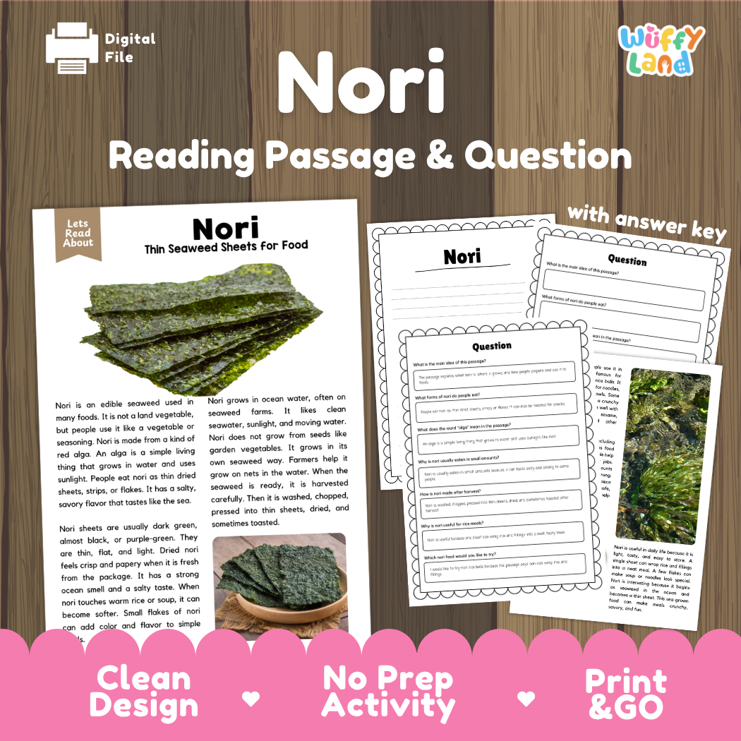 Nori reading comprehension passage and questions printable activity pack with answer key for elementary students