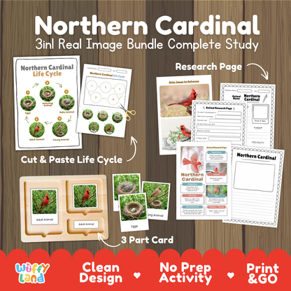 Northern cardinal 3-in-1 real image bundle complete study cover showing cut and paste life cycle, 3 part cards, and research pages   