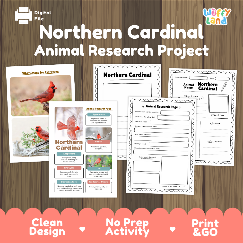 Digital download activity sheet set titled 'Northern Cardinal Animal Research Project' on a wood background, showing printable worksheets and a reference card with cardinal photos and writing prompts. Brand/logo 'Wiffly Land' appears in the top right.