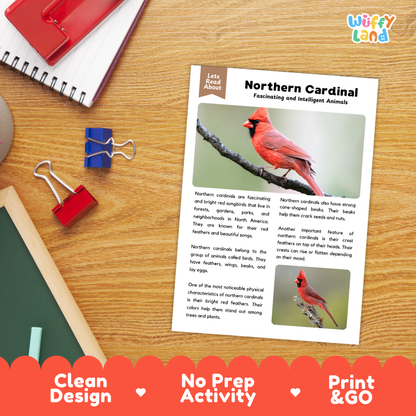 Northern Cardinal Reading Passage and Questions Worksheets with Answer Key