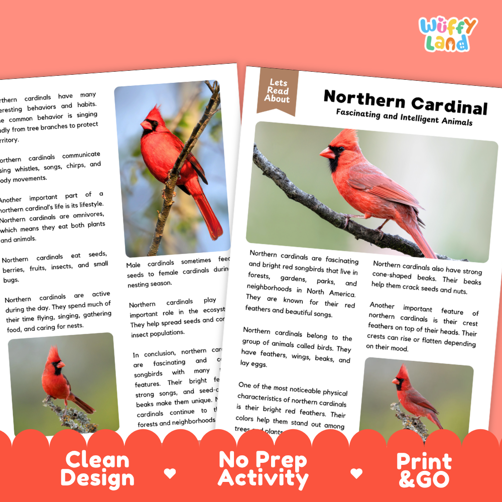 Northern Cardinal Reading Passage and Questions Worksheets with Answer Key