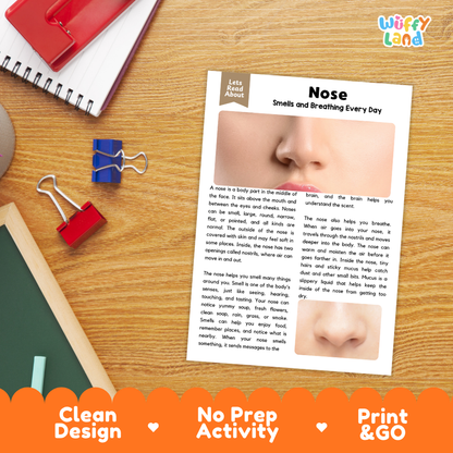 Student reading comprehension worksheet with short-answer questions and lined sections about the human nose