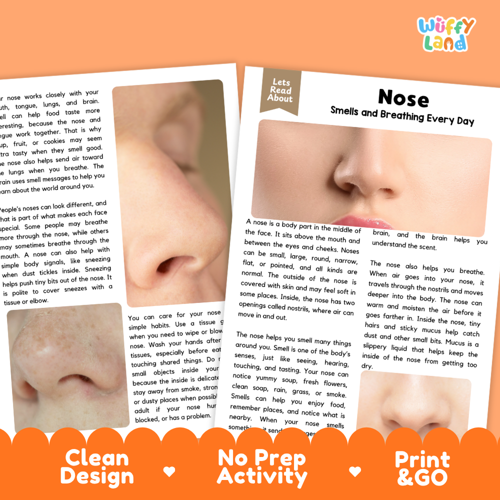 Teacher answer key page showing complete question solutions for Nose human body reading comprehension practice