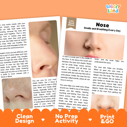 Teacher answer key page showing complete question solutions for Nose human body reading comprehension practice