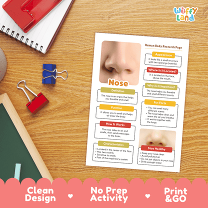 Nose Human Body Research Page Worksheets Anatomy Science Activity
