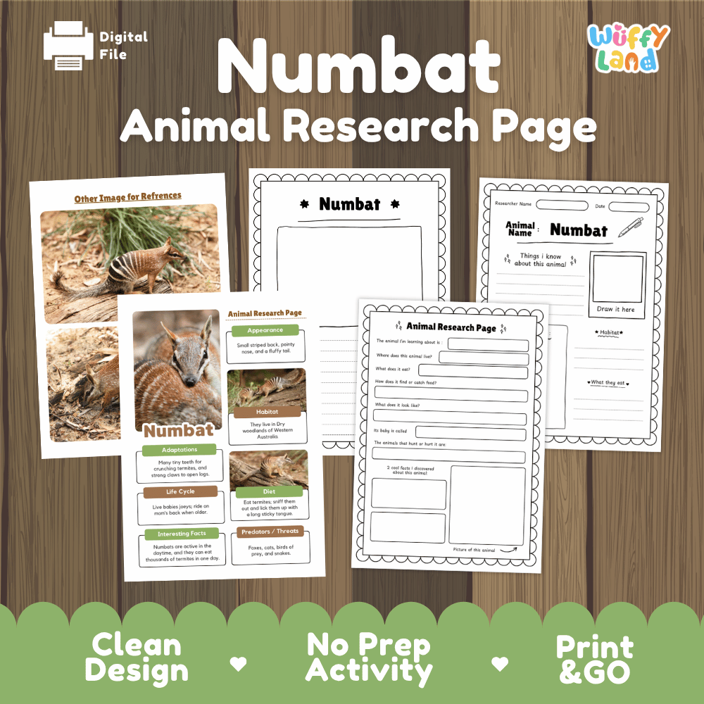 Digital preview of a Numbat Animal Research Page activity sheet set by Wiffly Land, displayed on a wood-grain background with green banner accents at the bottom.