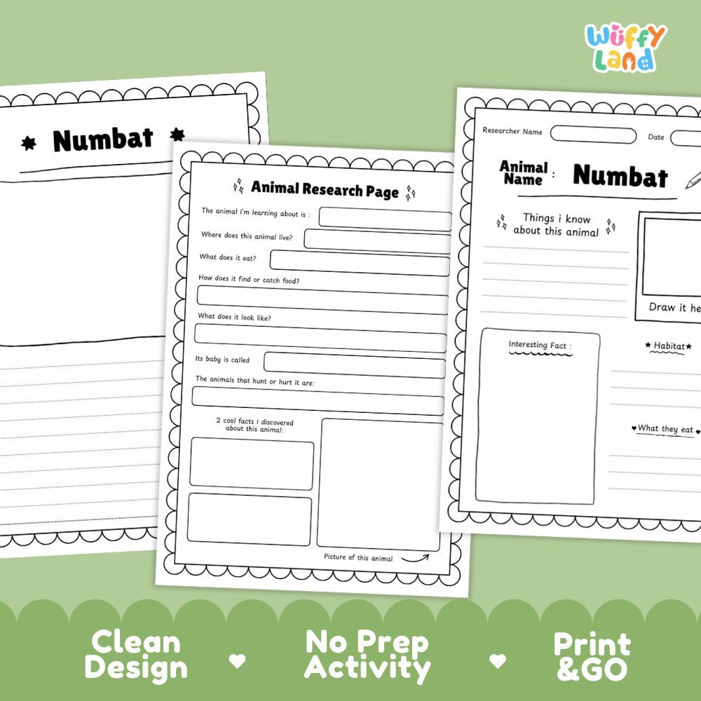 Three printable educational activity sheets for learning about the numbat animal, displayed on a light green background with promotional text at the bottom. The sheets are white with black printed text and borders, and the brand logo 'Wiffy Land' is visible in the top right corner.