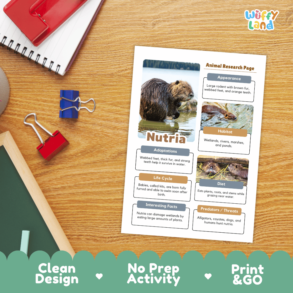 Nutria Animal Research Page Worksheets and Fact Sheet Activity
