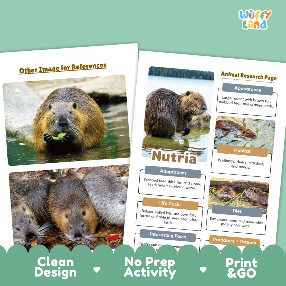 Nutria Animal Research Page Worksheets and Fact Sheet Activity