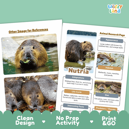Nutria Animal Research Page Worksheets and Fact Sheet Activity