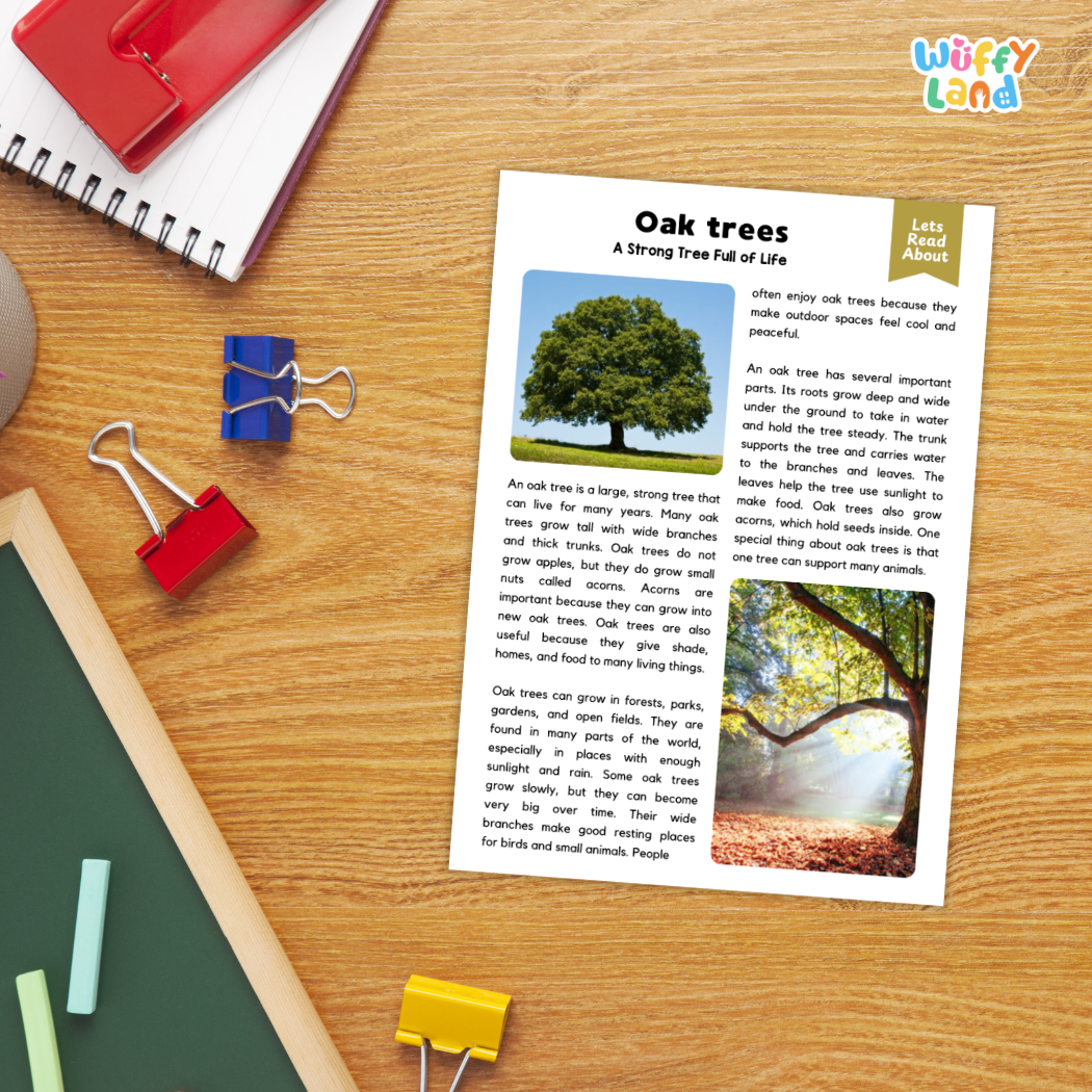 A printed educational poster titled 'Oak trees: A Strong Tree of Life' laid on a wooden desk, surrounded by school supplies including a red notebook, blue and red binder clips, a green folder, and a yellow highlighter. The 'Wiffly Land' logo appears in the top right corner.