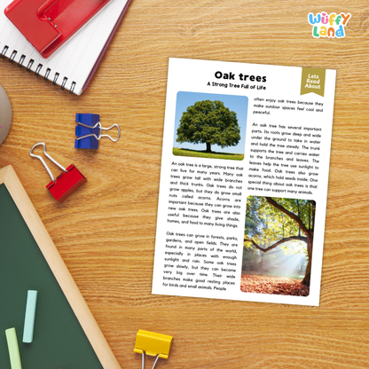 A printed educational poster titled 'Oak trees: A Strong Tree of Life' laid on a wooden desk, surrounded by school supplies including a red notebook, blue and red binder clips, a green folder, and a yellow highlighter. The 'Wiffly Land' logo appears in the top right corner.