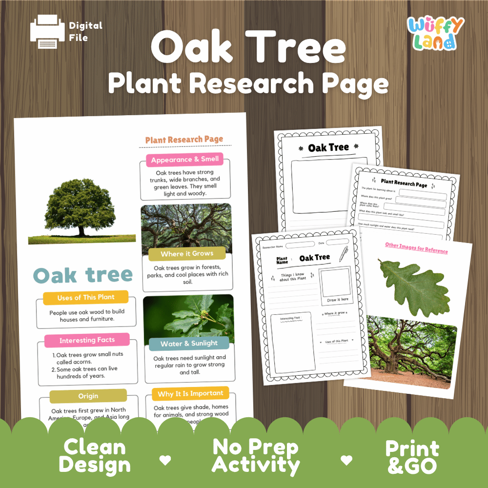Oak Tree Plant Research Page and Worksheets Print and Go Activity