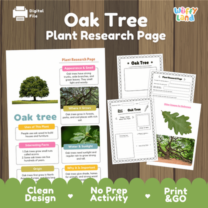 Oak Tree Plant Research Page and Worksheets Print and Go Activity