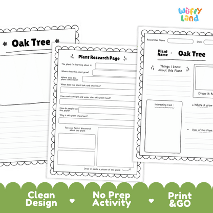 Oak Tree Plant Research Page and Worksheets Print and Go Activity