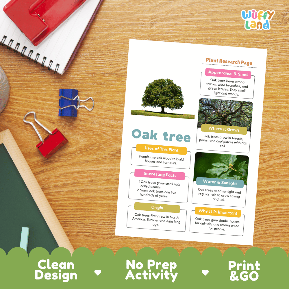 Oak Tree Plant Research Page and Worksheets Print and Go Activity