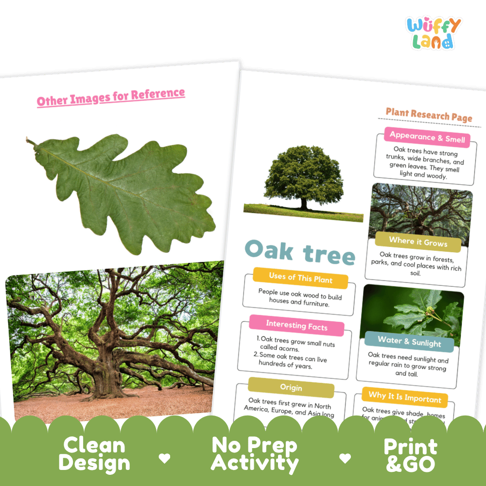 Oak Tree Plant Research Page and Worksheets Print and Go Activity