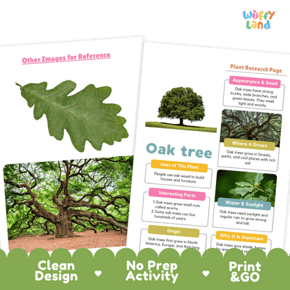 Oak Tree Plant Research Page and Worksheets Print and Go Activity