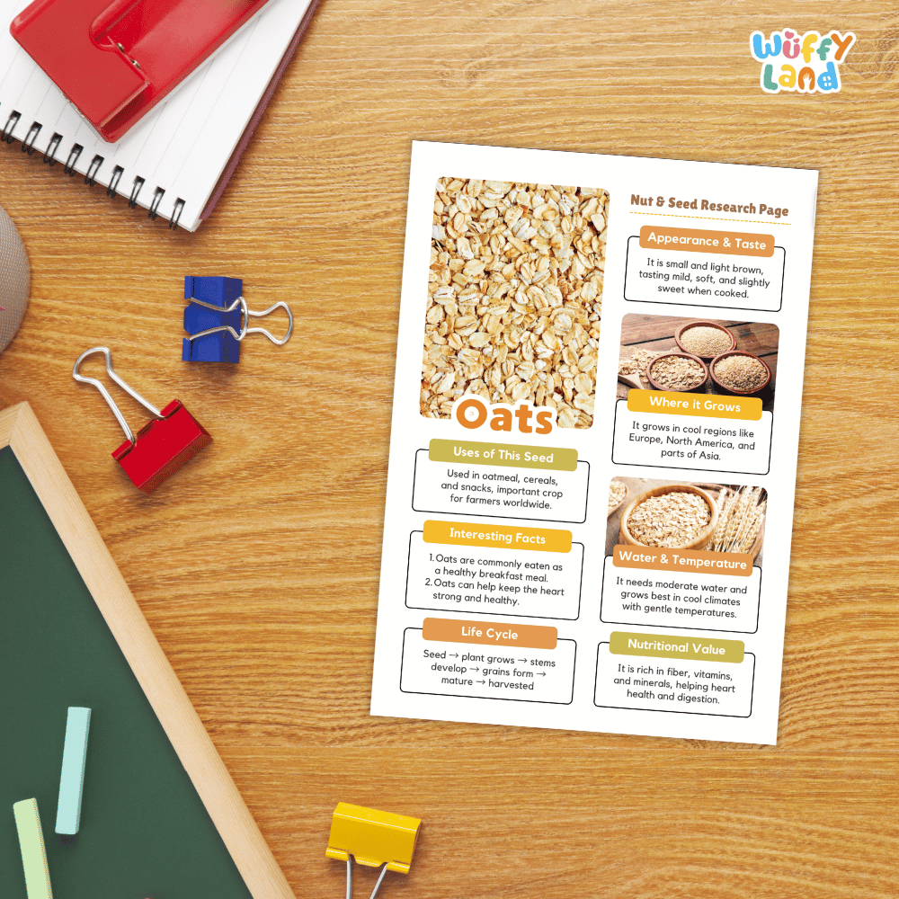 Oats Nut and Seed Research Page Worksheets and Fact Sheet