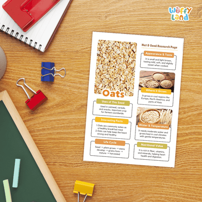 Oats Nut and Seed Research Page Worksheets and Fact Sheet