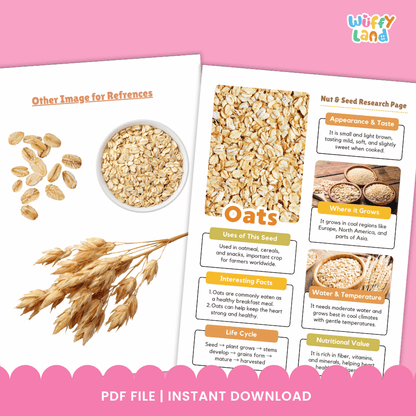 Oats Nut and Seed Research Page Worksheets and Fact Sheet