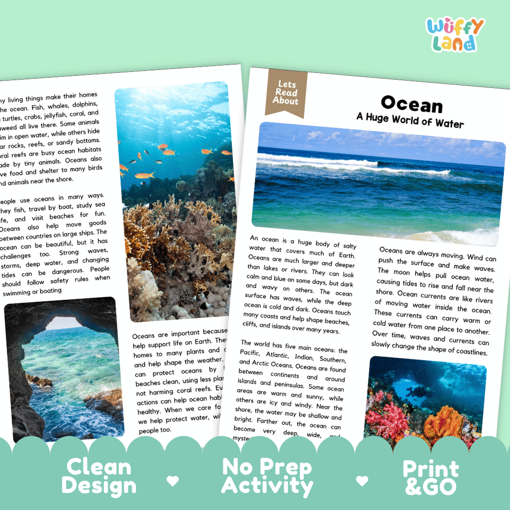 An educational activity booklet titled 'Wuffiy land' about oceans, featuring a colorful cover illustration, a small photo of a beach scene, and printed text. The booklet is displayed on a light teal background alongside a matching teal card that reads 'Ocean A Huge World of Water'.