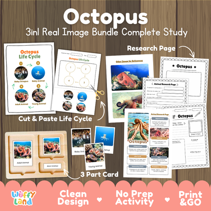 Octopus 3-in-1 real image bundle complete study cover showing cut and paste life cycle, 3 part cards, and research pages