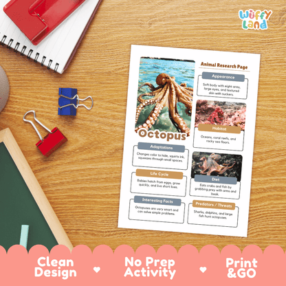 Octopus Animal Research Page Worksheets