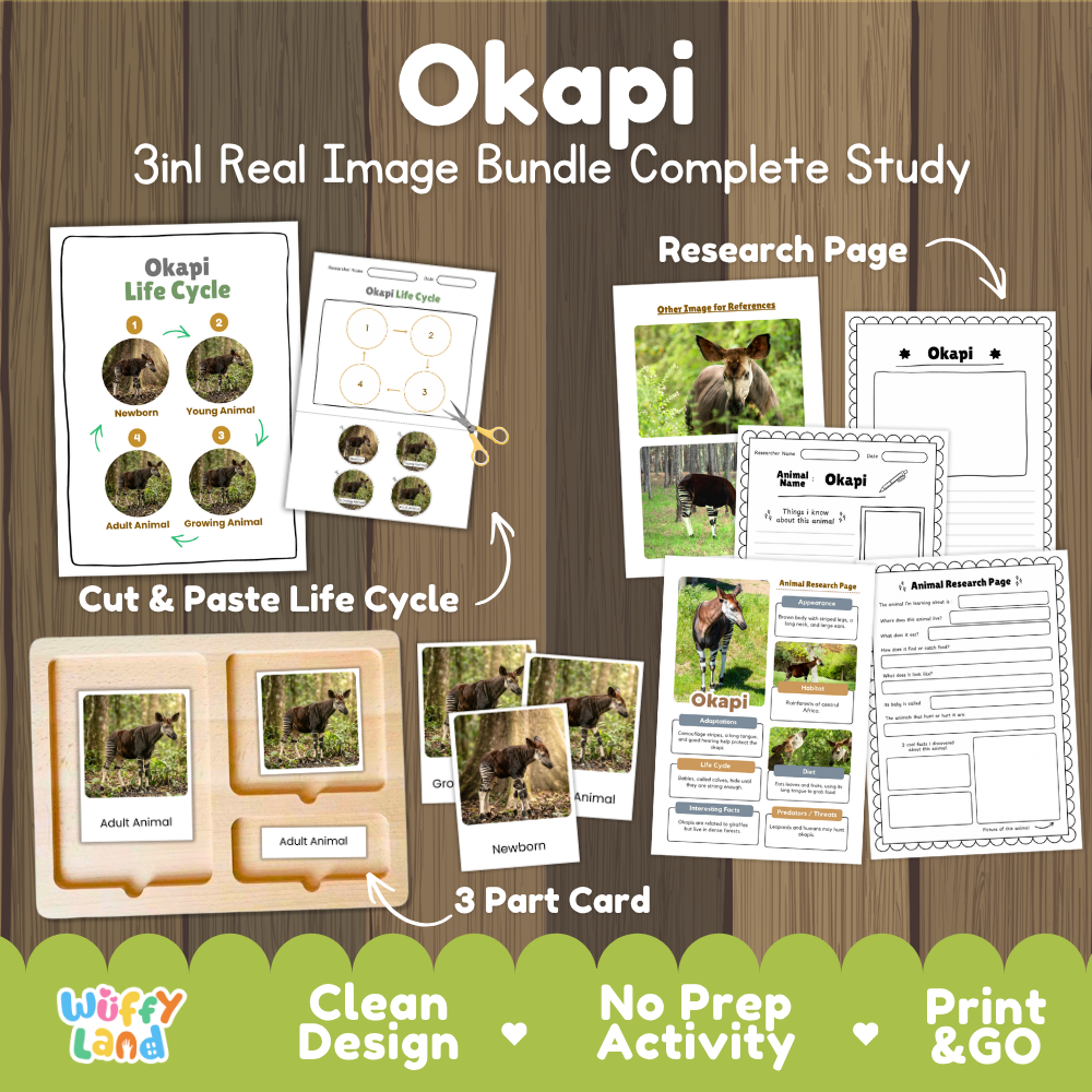 Okapi 3-in-1 real image bundle complete study cover showing cut and paste life cycle, 3 part cards, and research pages