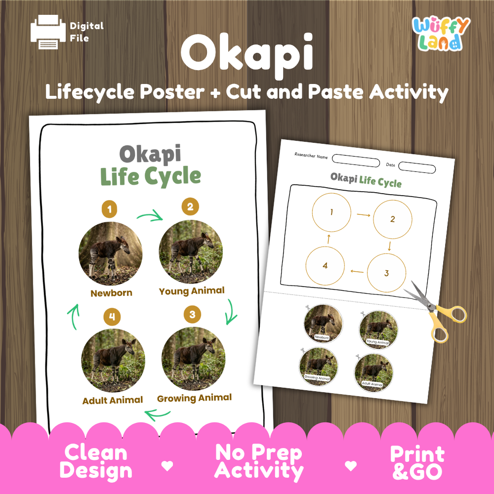 Okapi lifecycle poster and cut and paste activity cover showing 4 stage life cycle reference sheet and student cut and paste worksheet