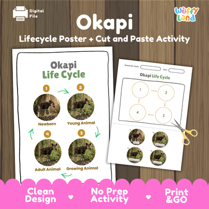 Okapi lifecycle poster and cut and paste activity cover showing 4 stage life cycle reference sheet and student cut and paste worksheet