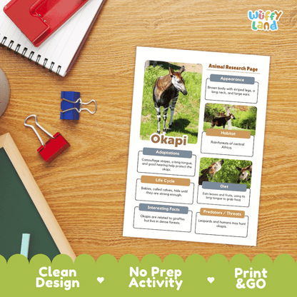 Okapi Animal Research Page Worksheets and Fact Sheet Activity