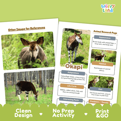 Okapi Animal Research Page Worksheets and Fact Sheet Activity