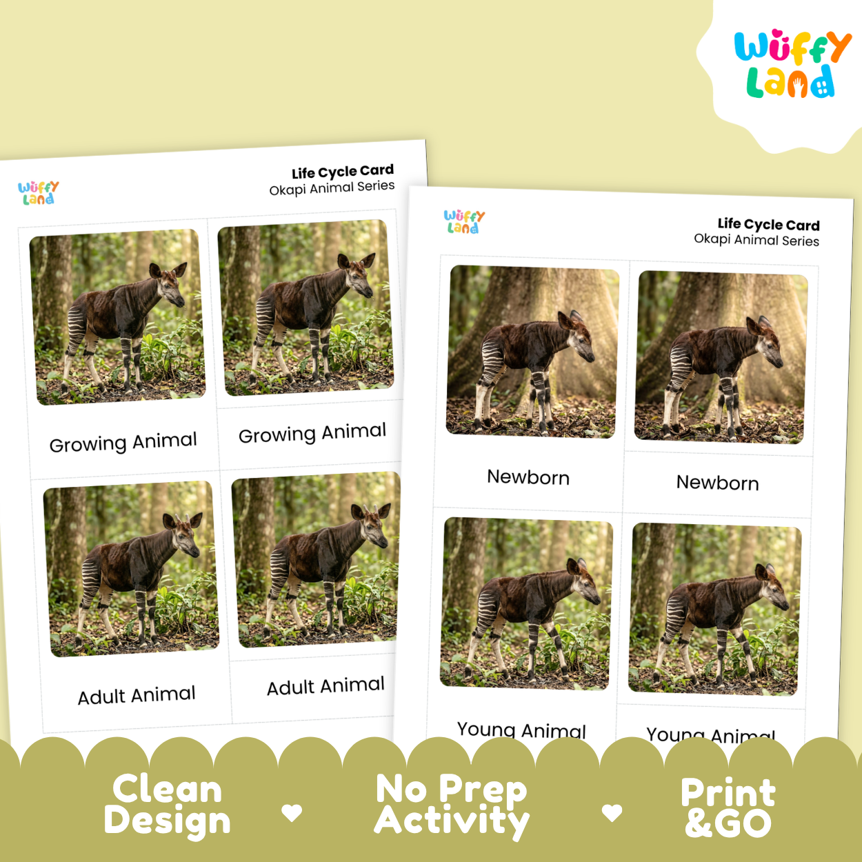 Okapi Life Cycle Flashcards | Montessori 3 Part Cards Mammal Activity