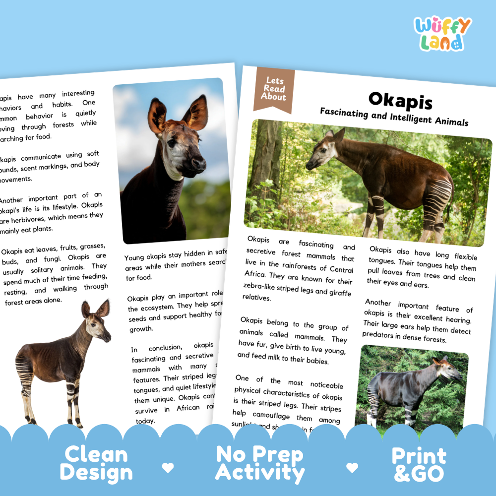 A children's educational activity sheet titled 'Okapis Fascinating and Intelligent Animals' from the brand 'Wuffiy Land'. The page features a clean white background with two columns: the left column contains text and a photo of a striped baboon, while the right column contains a photo of an okapi and text.